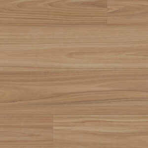 Clever Choice Enchanted Lorien Blackbutt