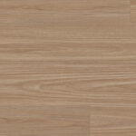 Clever Choice Enchanted Hybrid Titania Blackbutt