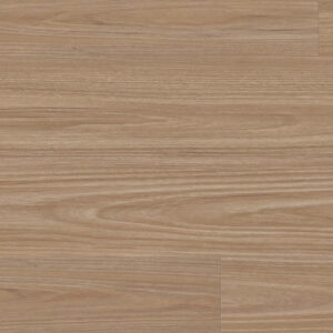 Clever Choice Enchanted Titania Blackbutt