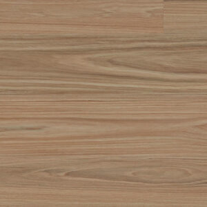Clever Choice Scenic Greenfield Blackbutt