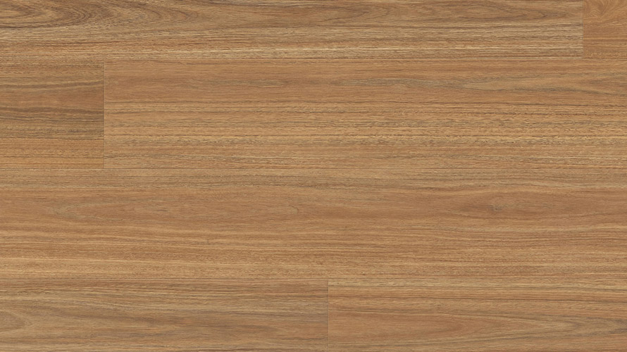 Clever Choice Scenic Hybrid Mosswood Spotted Gum