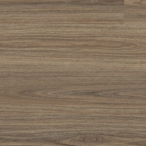 Clever Choice Scenic Palm Cove Spotted Gum