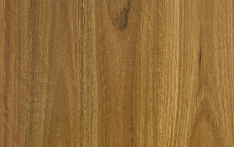 Australian Select Timbers Reflections GenCore+ Laminate Bushland Spotted Gum - Online Flooring Store