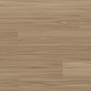 Clever Choice Voyager Andromeda Blackbutt