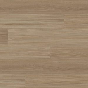 Clever Choice Voyager Antares Blackbutt