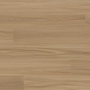 Clever Choice Voyager Orion Blackbutt