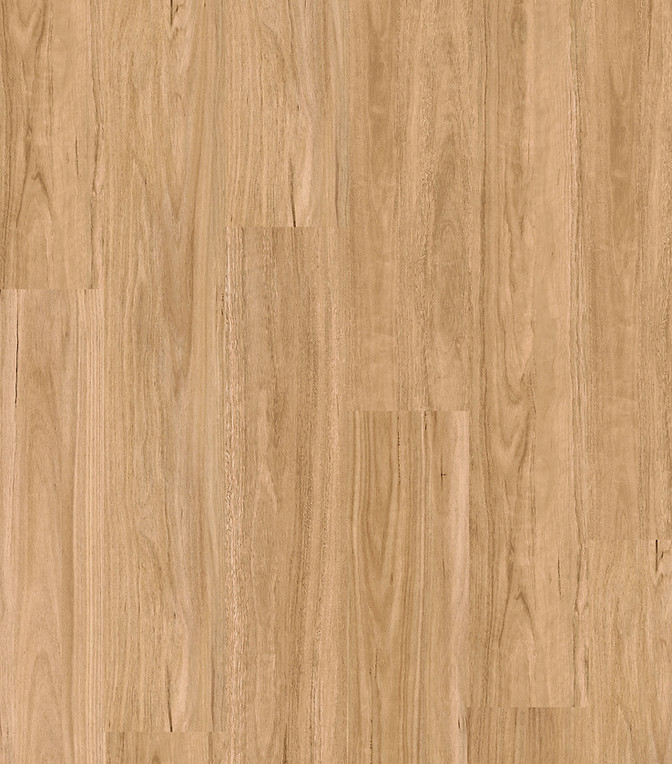 Decoline Skyline Vinyl Plank Coastal Spotted Gum
