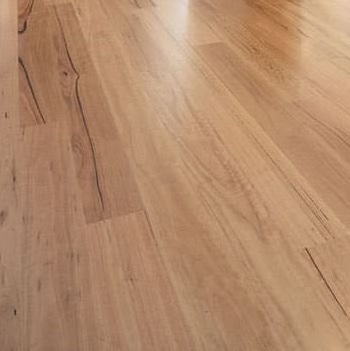 Eclipse Australis Terra Engineered Timber Blackbutt