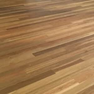 Eclipse Australis Terra Spotted Gum