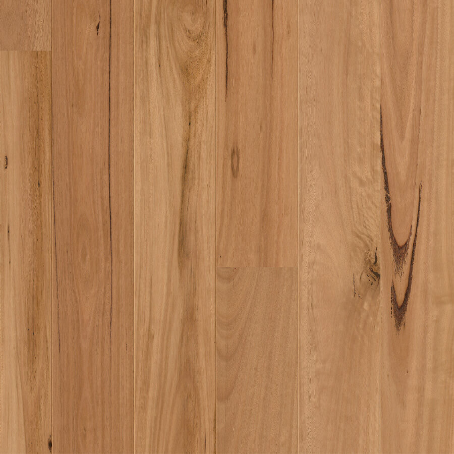 Premium Floors Quick-Step Cascada Engineered Timber Blackbutt