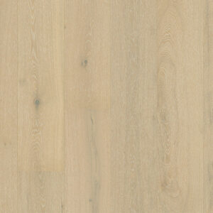 Premium Floors Quick-Step Faro Frozen Oak Extra Matt