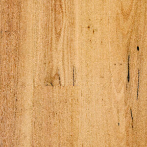 Sunstar Australian Hardwood Naturals Blackbutt Brush Feature