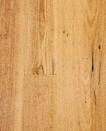Sunstar Australian Hardwood Naturals Engineered Timber Blackbutt Brush Feature