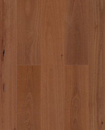 Sunstar Australian Hardwood Naturals Engineered Timber Sydney Blue Gum