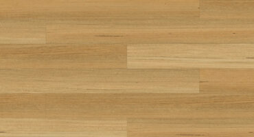 2208-921v2-2408-921v5