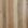 HTT Guardian Hybrid Spotted Gum