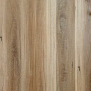 Eclipse Chique Scented Spotted Gum