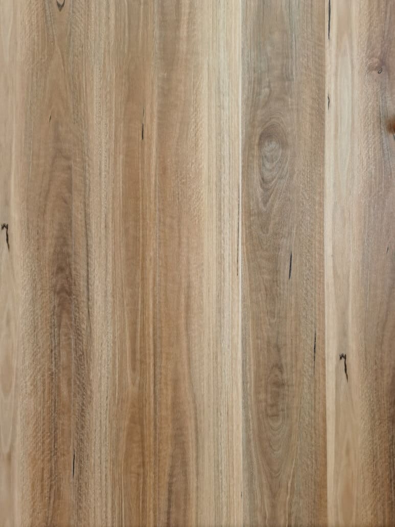 HTT Guardian Hybrid Spotted Gum