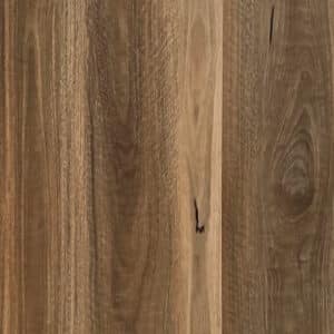 HTT Duro Spotted Gum