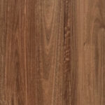 HTT Duro Hybrid Queensland Spotted Gum