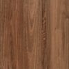HTT Duro Hybrid Queensland Spotted Gum