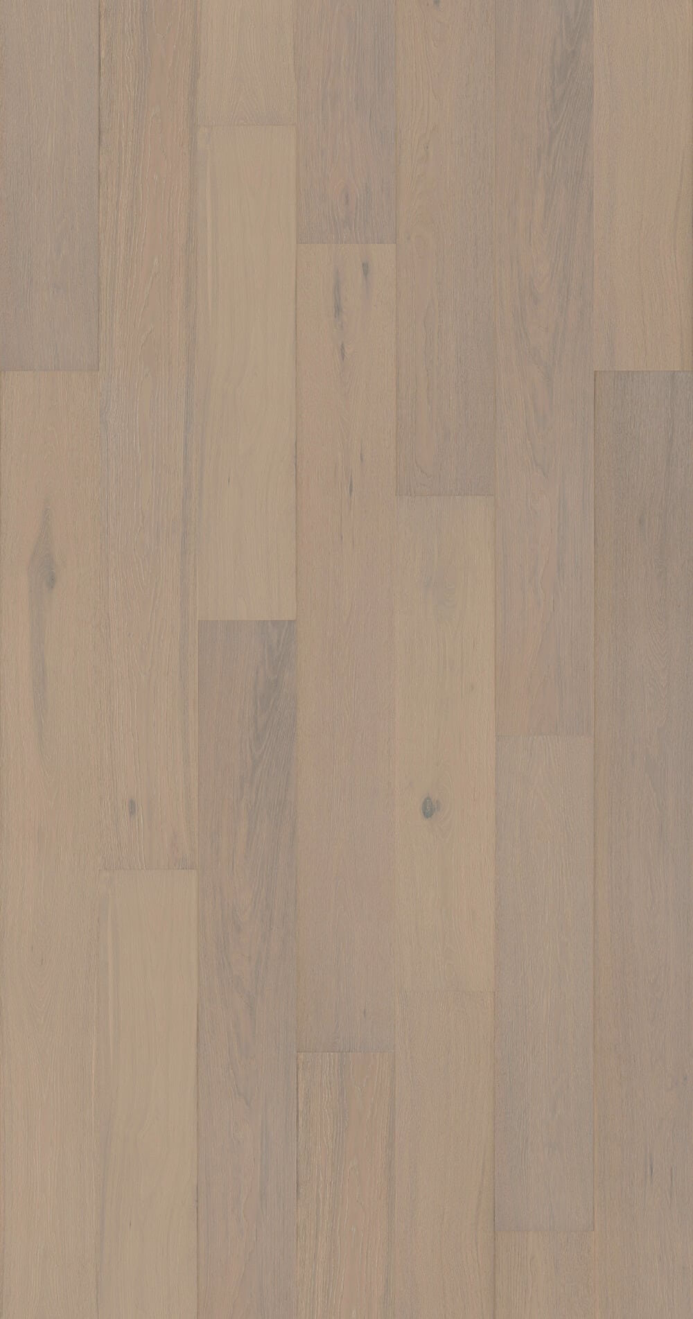 Empire Empire Euro Engineered Timber Rome